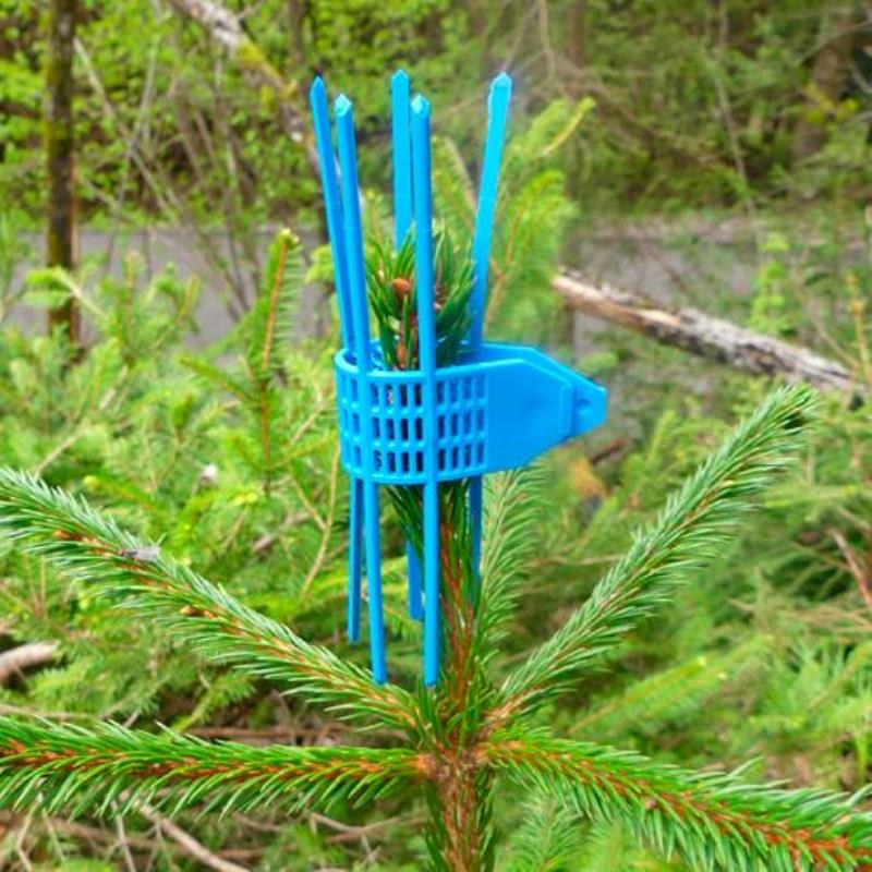 Wildverbißschutzmanschette biologisch abbaubar 100 Stück / Pack im Baumwollbeutel