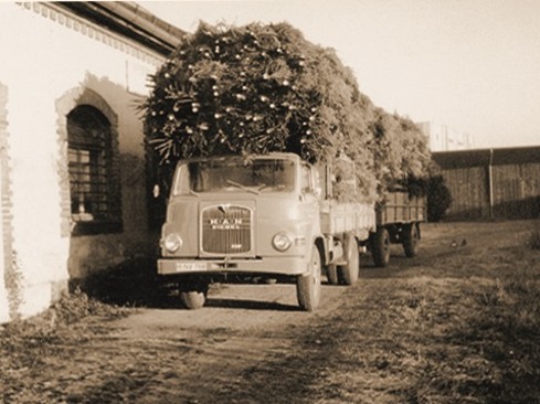 Neuer Geschäftszweig