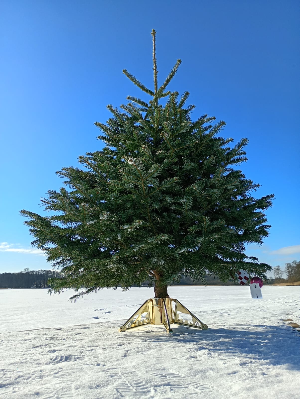 Bjørnekloen juletræsfod - sølv