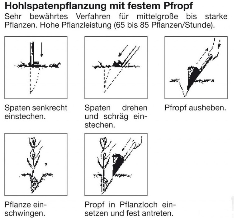 Hohlspaten nach Junack - extra lang 