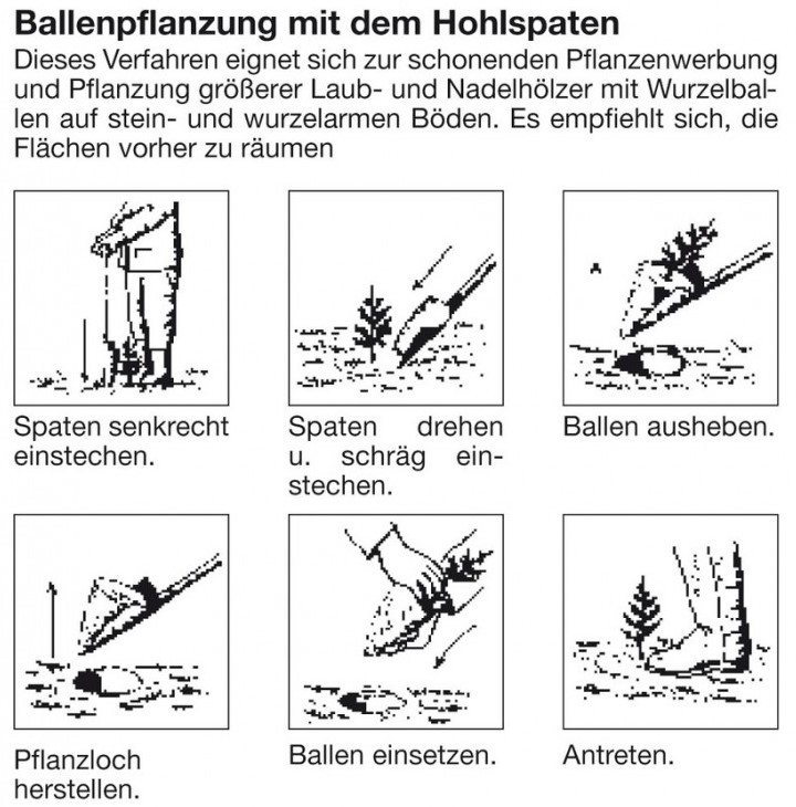 Hohlspaten Oldenburger Form 