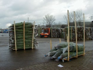 Gabelstabler mit Weihnachsbauemen